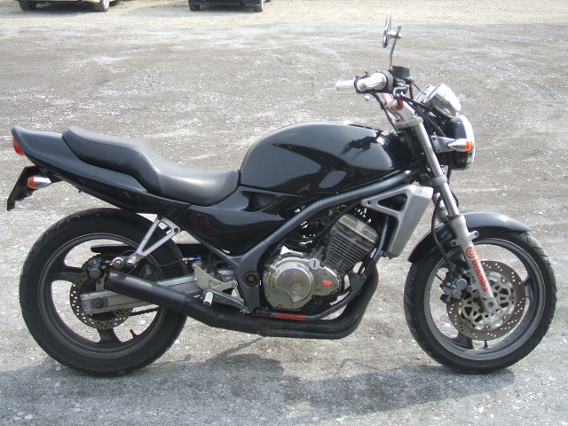 balius 250
